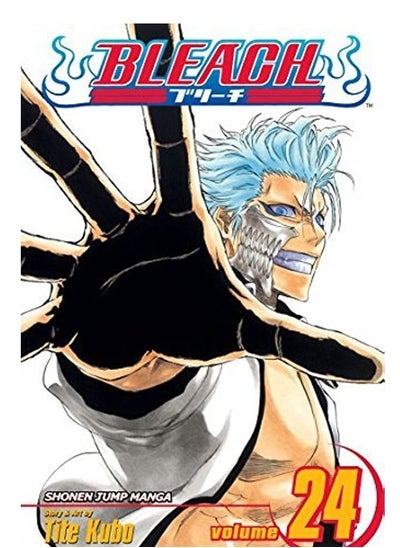 Buy Bleach, Vol. 24 in Egypt