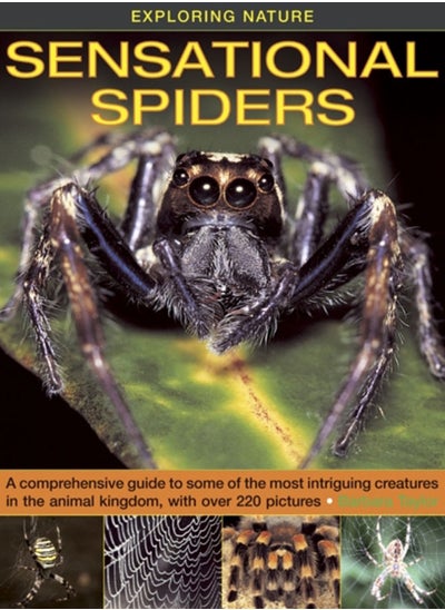 اشتري Exploring Nature : Sensational Spiders: A Comprehensive Guide to Some of the Most Intriguing Creatures in the Animal Kingdom, with Over 220 Pictures في الامارات