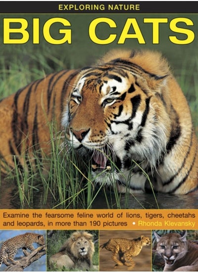 Buy Exploring Nature: Big Cats in UAE