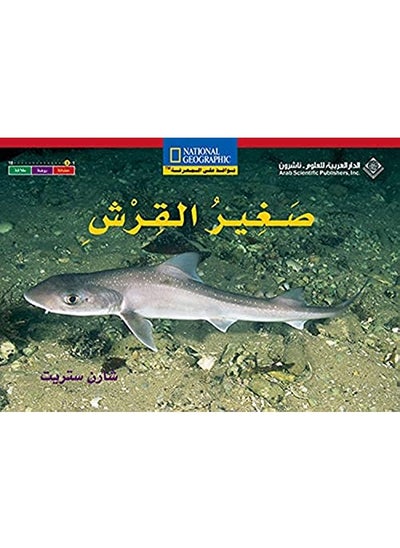 Buy Saghir Al Qorch - The Baby Shark (Ar-En) in UAE