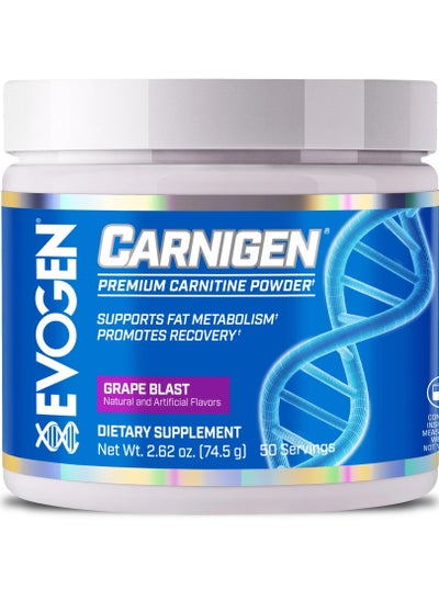 Buy Carnigen L-Carnitine Fat Burner Complex Grape 50 Servings 74.5g in UAE