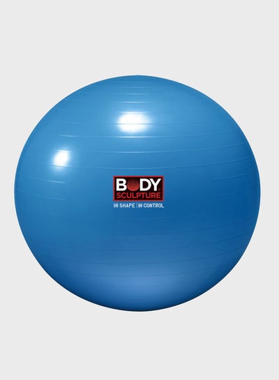 Buy 30" Anti-Burst Gymball - 1200Gm P6 30" in UAE