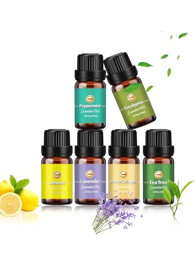 اشتري Essential Oils Set for Diffuser, 6pcs x 10 mL Diffuser Oil, Lavender, Eucalyptus, Lemon, Sweet Orange, Tea Tree, Peppermint في السعودية