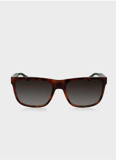 Buy Wayfarer Sunglasses in UAE