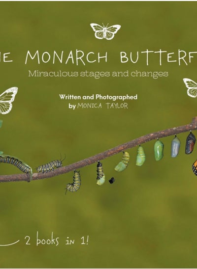 Buy The Monarch Butterfly and The Cecropia Moth : Miraculous Stages and Changes in UAE