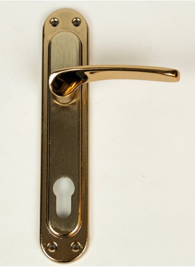 Buy Siag Cylinder Door Handle in Egypt