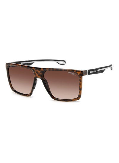 Buy Men's UV Protection Rectangular Shape  Sunglasses CARRERA 4019/S BROWN 47 - Lens Size: 46.9 Mm - Hvn in UAE