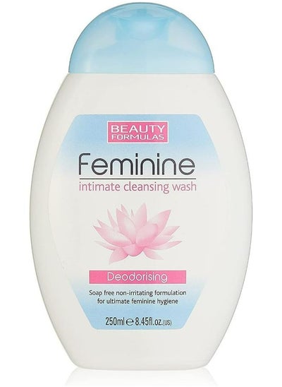 Buy Feminine Cleansing Wash Deodorising 250 ML in UAE