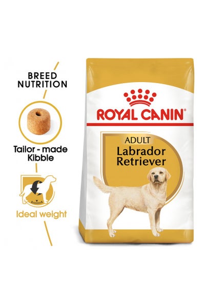 Buy Royal Canin Breed Health Nutrition Labrador Adult 3 KG in UAE