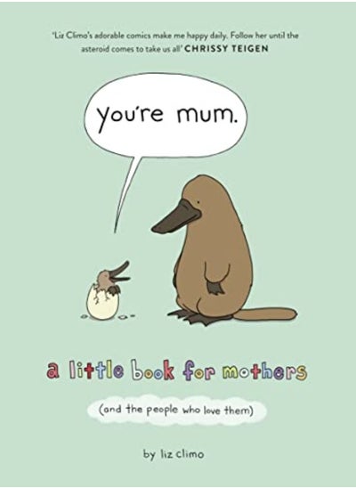 Buy Youre Mum A Little Book For Mothers And The People Who Love Them by Climo, Liz Hardcover in UAE