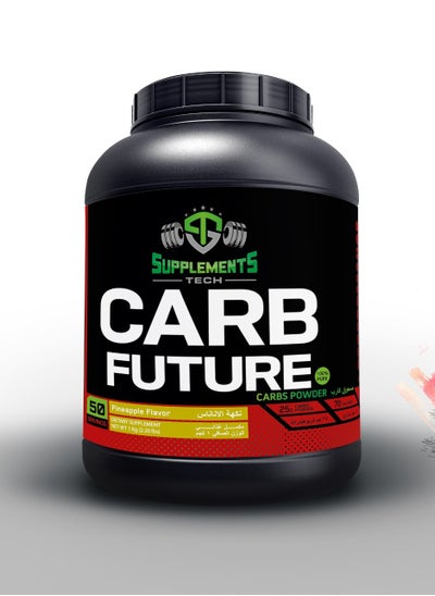 Buy Carb future with pineapple flavour 50 servings (25gram carb per serving) in Egypt