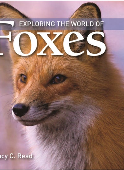 Buy Exploring the World of Foxes in UAE