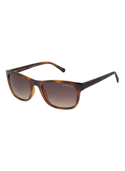 Buy RDS-6526 Women Petite Classic Square Style Sunglasses Brown 54 mm in UAE