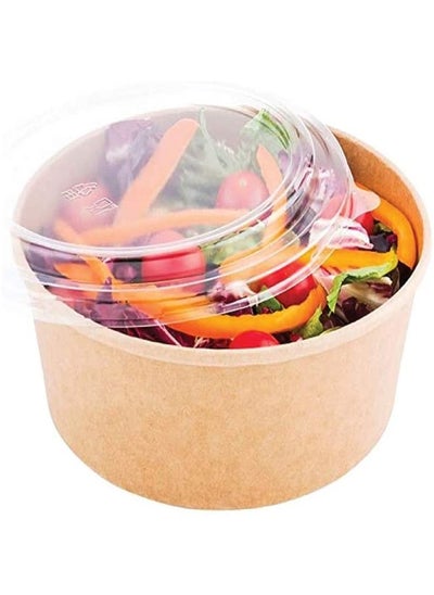 Buy SNH PACKing Kraft Salad Bowl 750ml Bio Disposable Bowl Brown With Lid 10 Pieces in UAE