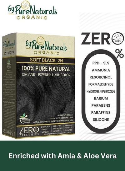 Buy 100% Organic Powder Hair Color - Soft Black 120gm in UAE