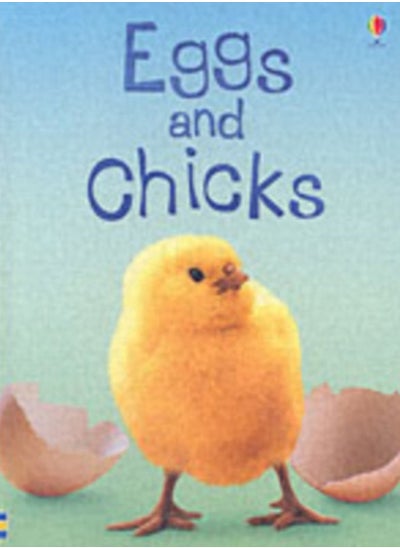 اشتري Eggs and Chicks في الامارات