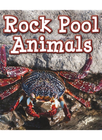 Buy Rock Pool Animals in UAE