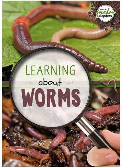 Buy Learning about Worms in UAE