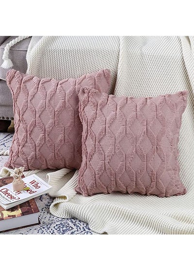 اشتري 2 PCS Of Throw Pillow With Extra Comfort And Fluffy Material With Soft Touch في الامارات