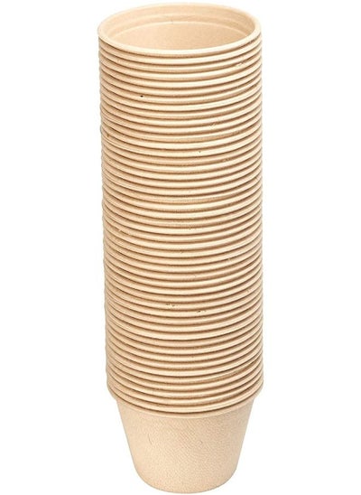 Buy Bagasse Sauce Cup 4 Ounce With Plastic Lid 100 Pieces in UAE