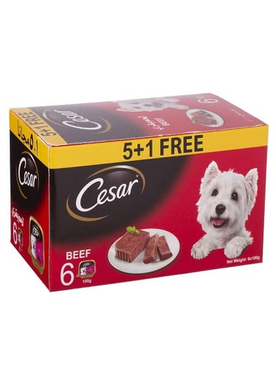 Buy Cesar Beef Flavoured Wet Dog Food 100g Pack of 6 in UAE