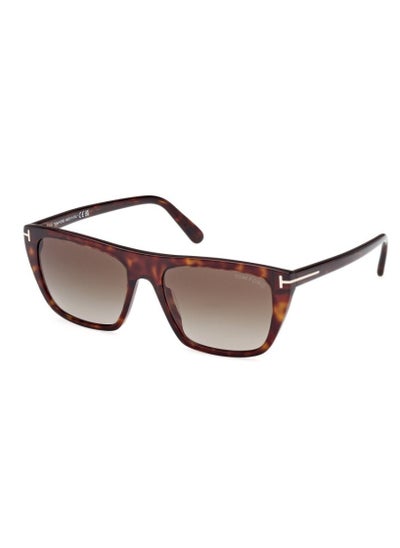 اشتري Tom Ford TF1175/S Men's Sunglasses في الامارات