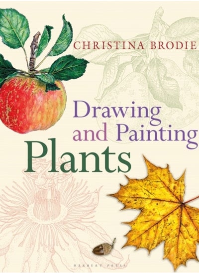 Buy Drawing and Painting Plants in Saudi Arabia