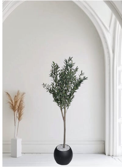 Buy Olive tree with black pot, attractive design, make your home more elegant, 185 cm in Saudi Arabia