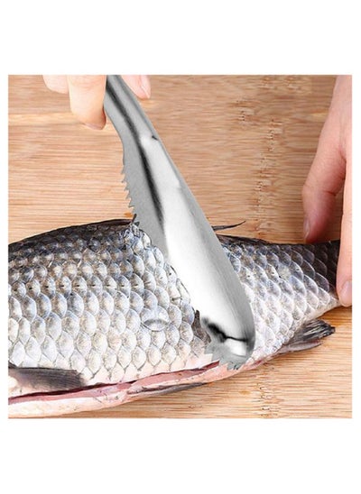 Buy Stainless Steel Fish Scale Remove Scraping Fast Cleaning Peeler Scraper Tool in Egypt