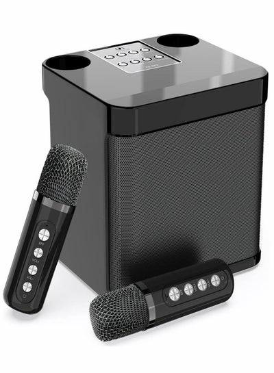 Wireless Bluetooth Karaoke Speaker with 2 Wireless Microphones, Mini ...