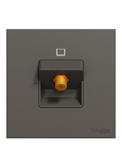 اشتري Schneider Electric Avataron C TV Socket E8731TVF_DG, , Ip20 Dark Grey F-Type في الامارات