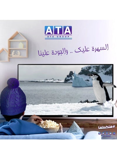 اشتري 32 inch ATA screen في مصر