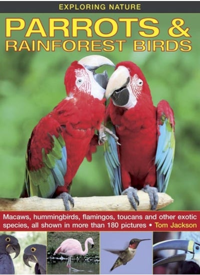 اشتري Exploring Nature: Parrots & Rainforest Birds في الامارات