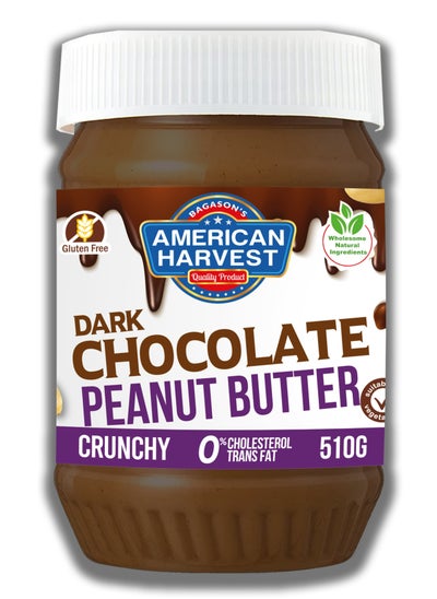 Buy Dark Chocolate Peanut Butter - Crunchy 510g in UAE