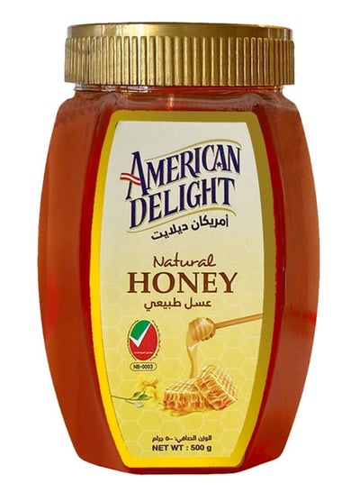اشتري American Delight Natural Honey 500gm في الامارات