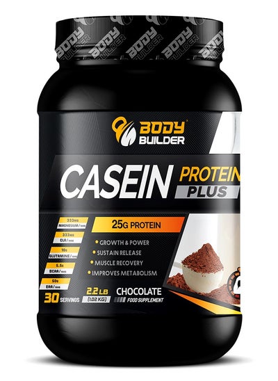 Buy Casein Protein Plus, Chocolate, 2.2 LB in UAE