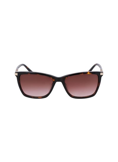 اشتري UV Rays Protection Eyewear Sunglasses DK539S-237-5516 في السعودية