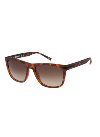 اشتري Precision 8517 Men Polarized Rectangular Sunglasses Brown 57 mm في الامارات