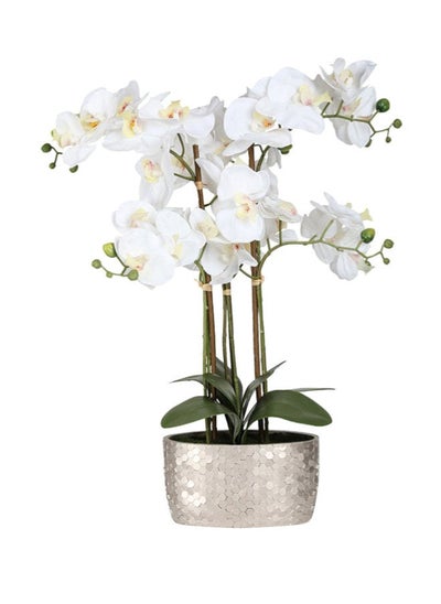 Buy Real Touch White Orchid in Ceramic Pot 61 cm Green/Gold in UAE