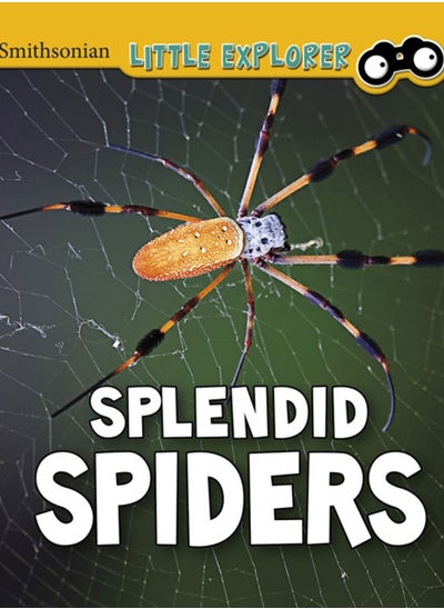 Buy Splendid Spiders in UAE