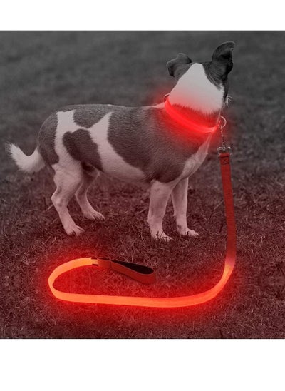 اشتري Ultra High Night Visibility USB Rechargeable Flashing Pet Leash Glow in The Night Red Large في الامارات