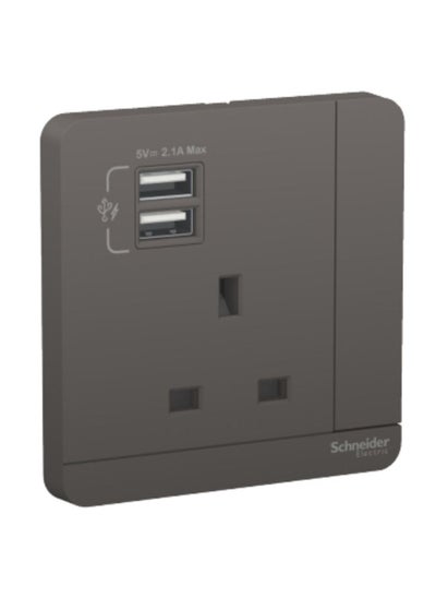 Buy Schneider Electric  AvatarOn, 2 USB charger + switched socket, 3P, 13A, Dark Grey (Model Number -E8315USB_DG_G11) in UAE