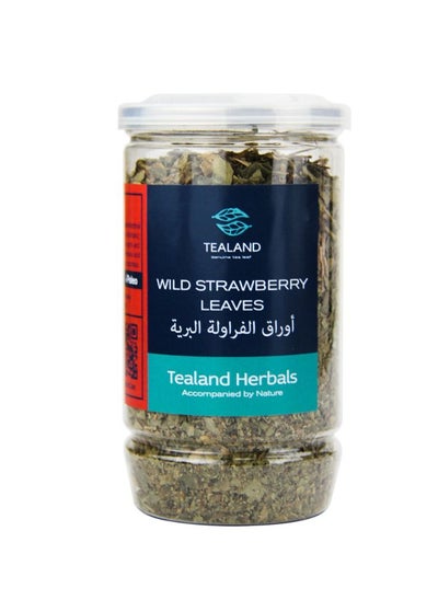 Buy Herbal Tisane Wild Strawberry Leaves Antioxidant Rich Natural Caffeine-Free Immune Support Digestion Diarrhea Caughs Relieve 25g in UAE