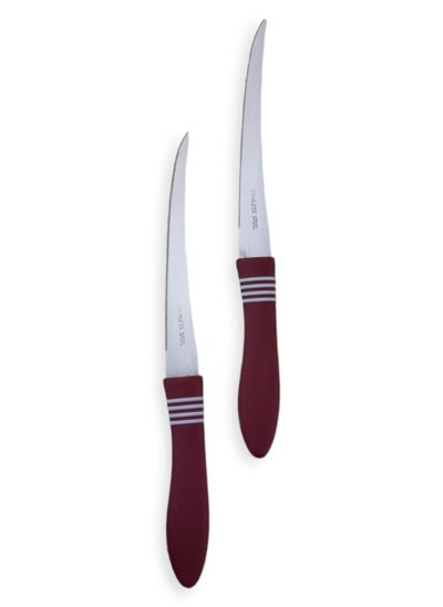 Buy Stainless Steel Knife With A Plastic Handle - 2 Pcs. in Egypt