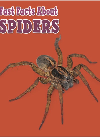 Buy Fast Facts About Spiders in Saudi Arabia