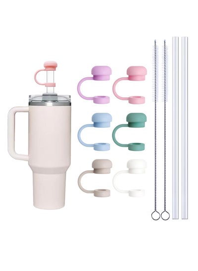 Buy Straw Cover Caps for Stanley Cup, 6Pcs 10mm Straw Cover Caps, 2 Pcs of 12 Inches Straws, and 2 pcs Straw Brush, for 40-20 Oz Stanley Tumbler with Handle, Dust-proof and Leak-proof in Saudi Arabia