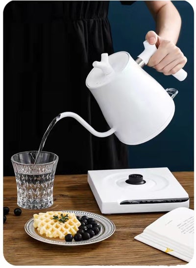 Buy 1L Electric Kettle 304 Stainless Electric Kettles for Boiling Water Pour Over Coffee & Tea 220V 1000W Quick Heating Constant Temperature Coffee Kettle in UAE