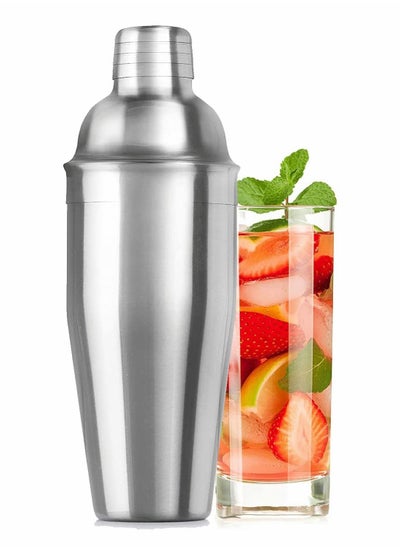 Buy Stainless Steel Shaker, 24oz Summer Drink Shaker, Mixed Drink Shaker Built-In Strainer in UAE