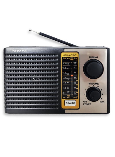 اشتري راديو بابايا Rx-F10Ur قابل للشحن مع 3 نطاقات - أسود/فضي في مصر