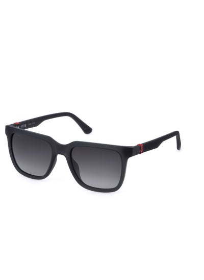 Buy Men's Square Shape Polarized  Sunglasses SPLN34V544A4P - Lens Size: 54 Mm - Matt Opal Grey in UAE